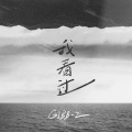 Gibb-Z - 我看过