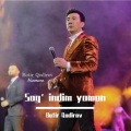 Nurmeme、Botir Qodirov - Sog’indim yomon