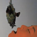巴穆馨、奢香 - 不浪漫的罪