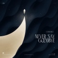 MINA - Never Say Goodbye