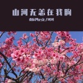 南辰 - 山河无恙在我胸