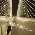 贱平方 - 是我不够好 (Remix)