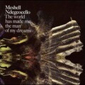 Me'Shell Ndegéocello - Headline