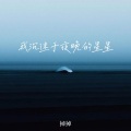 我沉迷于夜晚的星星