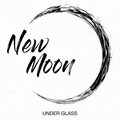 Under Glass - Obvious