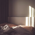 Arctica - Warmth