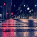 Lin - 泪如相思雨落下