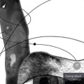 Home Shell - Olekma (OriginalMix)