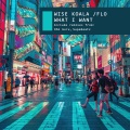 Wise Koala、Flo - What I Want (Supabeatz Remix)