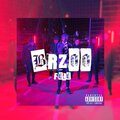 BRZOO (Explicit)