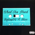 BigGuyDG、Blizz - What She Need (feat. Blizz)(Explicit)