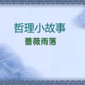 蔷薇雨落 - 一次特别的测验