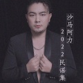 沙马阿力 - 宿命