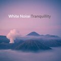 White Noise Ambient、Rain Drop Relaxation、Sleepy White Noise Naptime - Streaming Joy