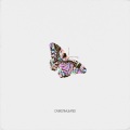 Overstimulated (Explicit)
