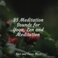 Studying Music、Baby Sweet Dream、Deep Sleep Music Delta Binaural 432 Hz - Dusk