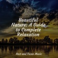 Avslappning Sound、Buddhist Meditation Music Set、Relaxed Minds - Zen Garden