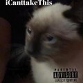 Shvwtyy、Damn - iCanttakeThis
