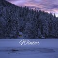 Lil Adrix、Youngmo_o - Winter (Explicit)