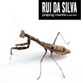 Rui Da Silva - The Hive Mind