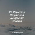 Master Meditação、Música De Relajación Para Dormir Profundamente、Relajantes sonidos de lluvia - Modos Más Suaves