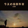 王文文 - 今天心情很不爽
