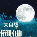 门哥 - 海浪声+鸟鸣