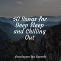 Big Sounds、Serenity Spa Music Relaxation、Sleepy Times - Meandering Stream