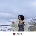 群星、圈妹、苏可可、林晚晚 - 半生雪