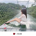 苏可可、小可、小奶瓶、潮音子杰 - 需要人陪 (DJ版)