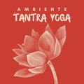 Musica Erotica Ensemble - Salutation au soleil Chakra balancing