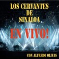 Alfredo Olivas、Los Cervantes de Sinaloa - La Pierda