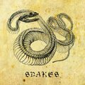 Snakes - Aloha From Old Mexico