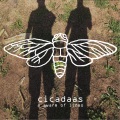 Cicadaas - The Innovation