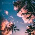 Never Off Track - Tropical