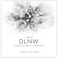 DLNW (Original Mix)