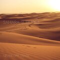 Never Off Track - Sahara Suburbs