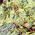 syndicate - For Our Youth$ $ake (Explicit)