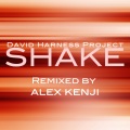 David Harness Project - Shake (Alex Kenji Main Mix)