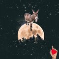 Big Nose、All One Tapes - smokey donkey