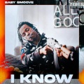 I Know (feat. Baby Smoove)(Explicit)