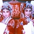 闪电 - 评剧(无双转)水中捞月梦难圆 (Live)