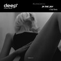 Micheletto、T-Zhuk - In the Sky