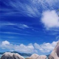 他说你为何称道的美丽
