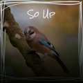 So Up