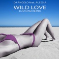 Wild Love (Djste'am Extended Remix)