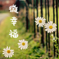 素颜微尘 - 史铁生：我与地坛 (三)(994天)