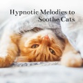 Cat Music Relaxation、Calm、Cats Music Zone、Cat - Cat Music For Cats