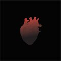 The Feelings - Fantasy