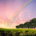 懒洋洋 - 类别
